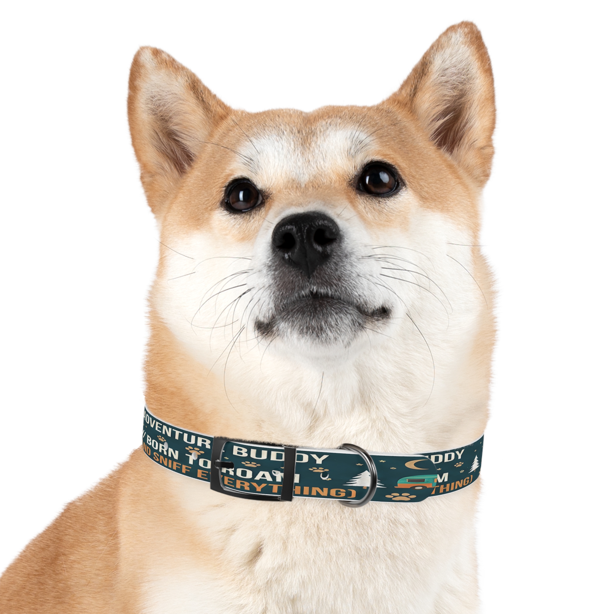 1613349375606041958_4096.jpeg Dog Collar — 'Born to Roam (and Sniff Everything)' Outdoor Pet Collar