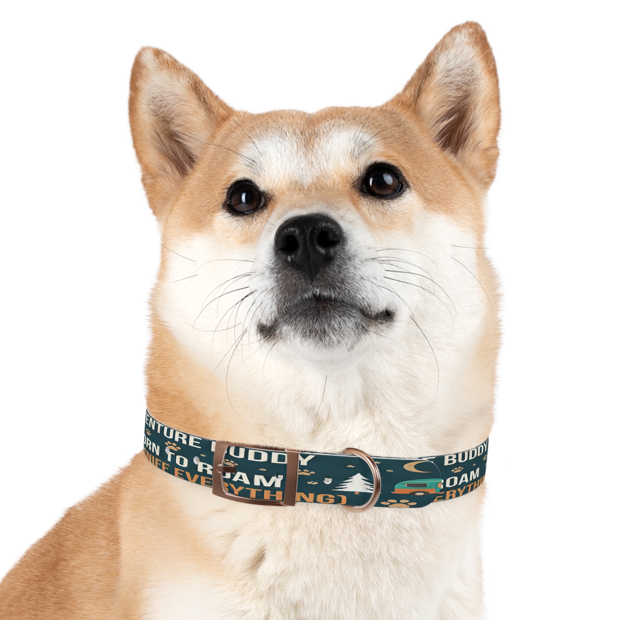 16348574929603255133_4096.jpeg Dog Collar — 'Born to Roam (and Sniff Everything)' Outdoor Pet Collar