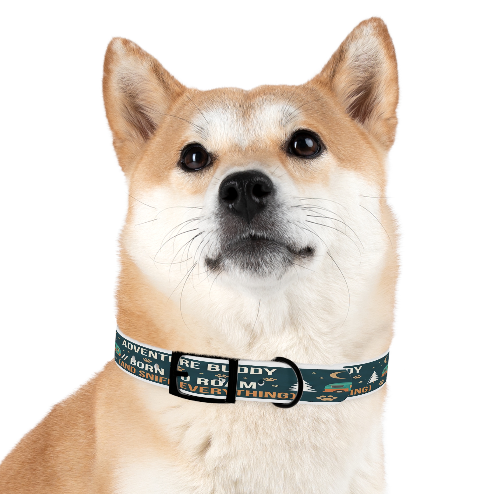 3084163293788409201_4096.jpeg Dog Collar — 'Born to Roam (and Sniff Everything)' Outdoor Pet Collar